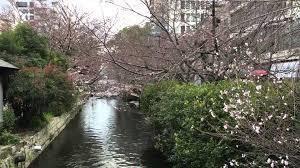 Okayama Green Hotel מראה חיצוני תמונה